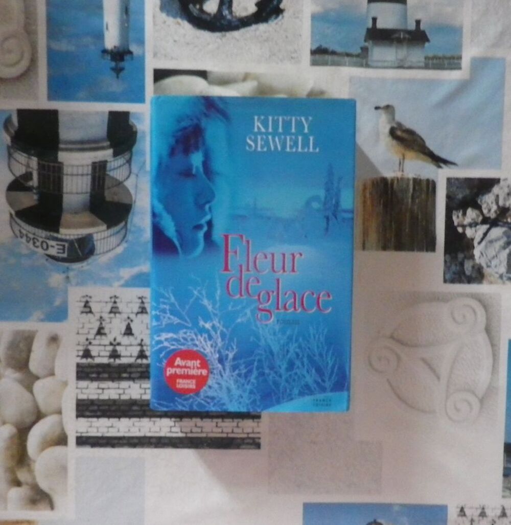 FLEUR DE GLACE de Kitty SEWELL France Loisirs Roman Livres et BD