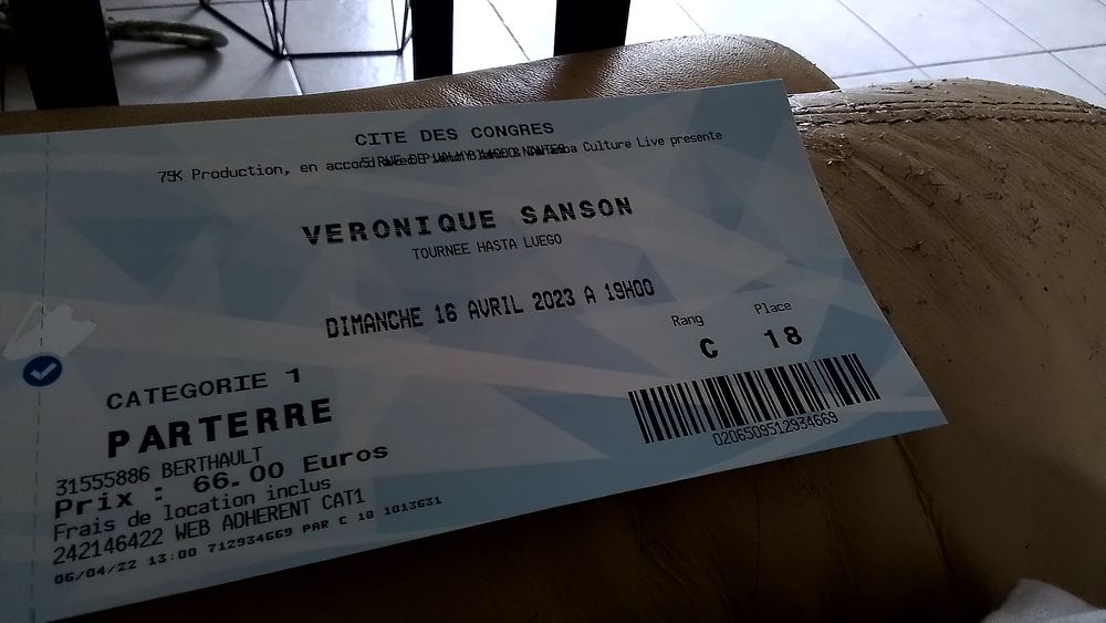 Place de concert V&eacute;ronique Sanson 
Billetterie