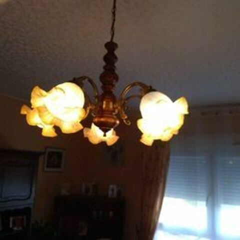 1 lustre plafonnier 50 Meaux (77)