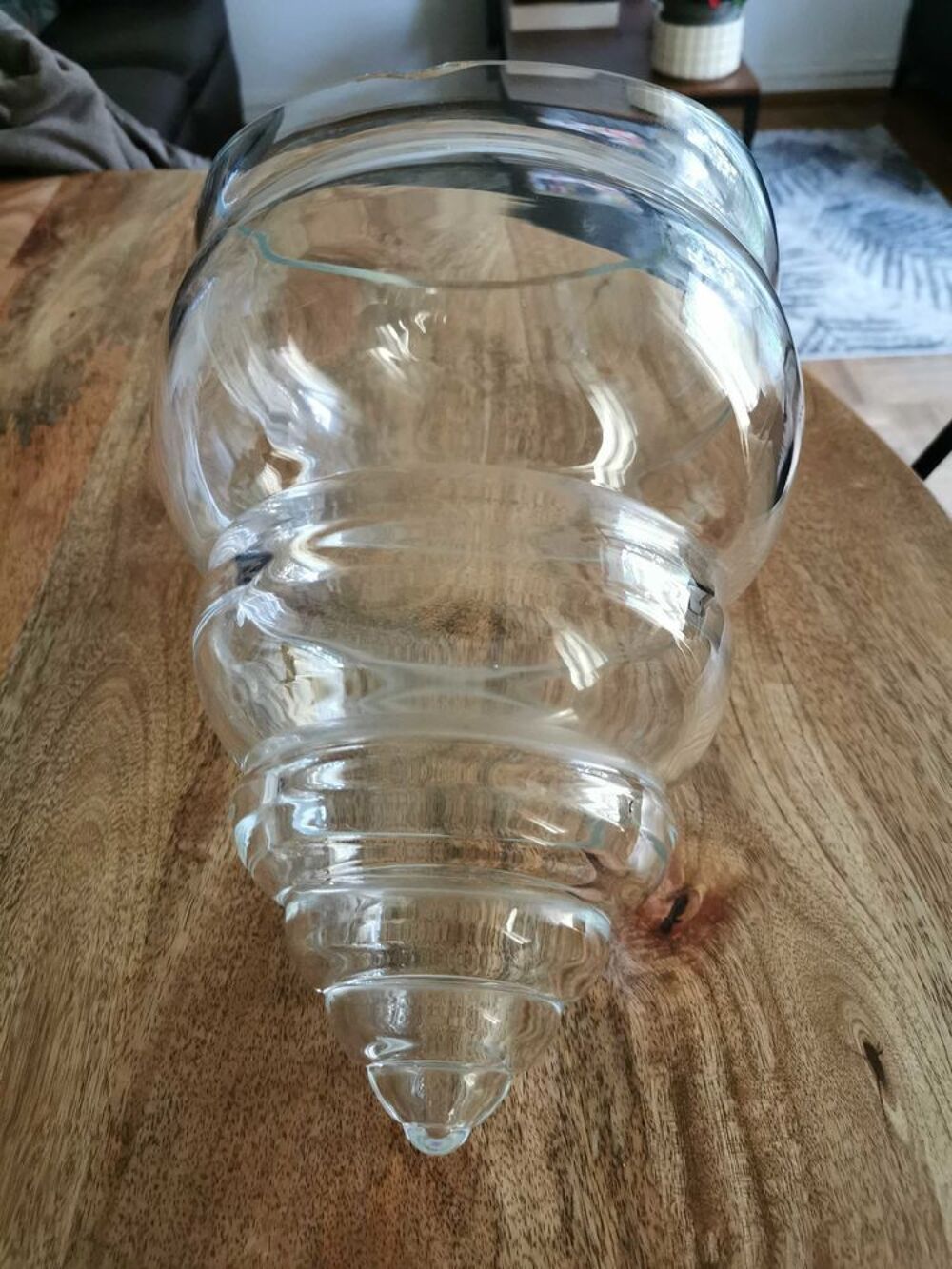 Lot grand vase original forme coquillage + livre Terrarium Décoration