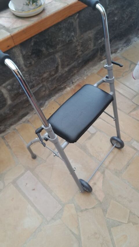 Dambulateur 50 Monthelie (21)