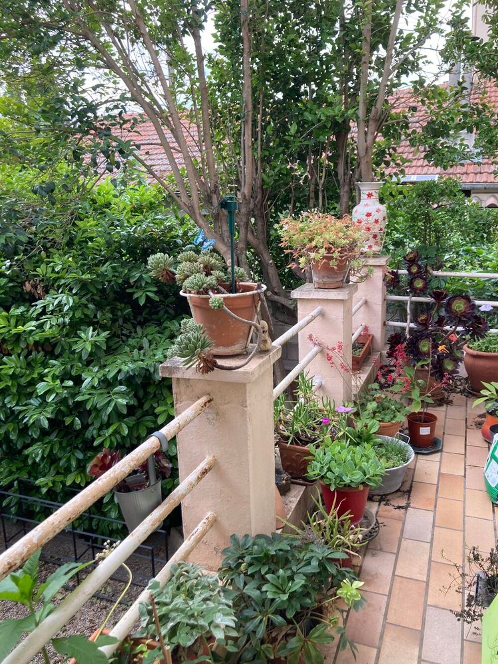 Vente Maison Villa calme Avignon sans vis-à-vis à 10 mns du centre Avignon