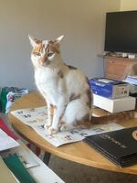   NOE SE TROUVE EN FAMILLE D'ACCUEIL PARIS 18 