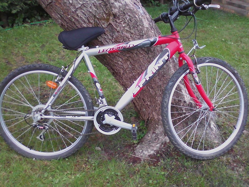 VTT Mixte Vélos