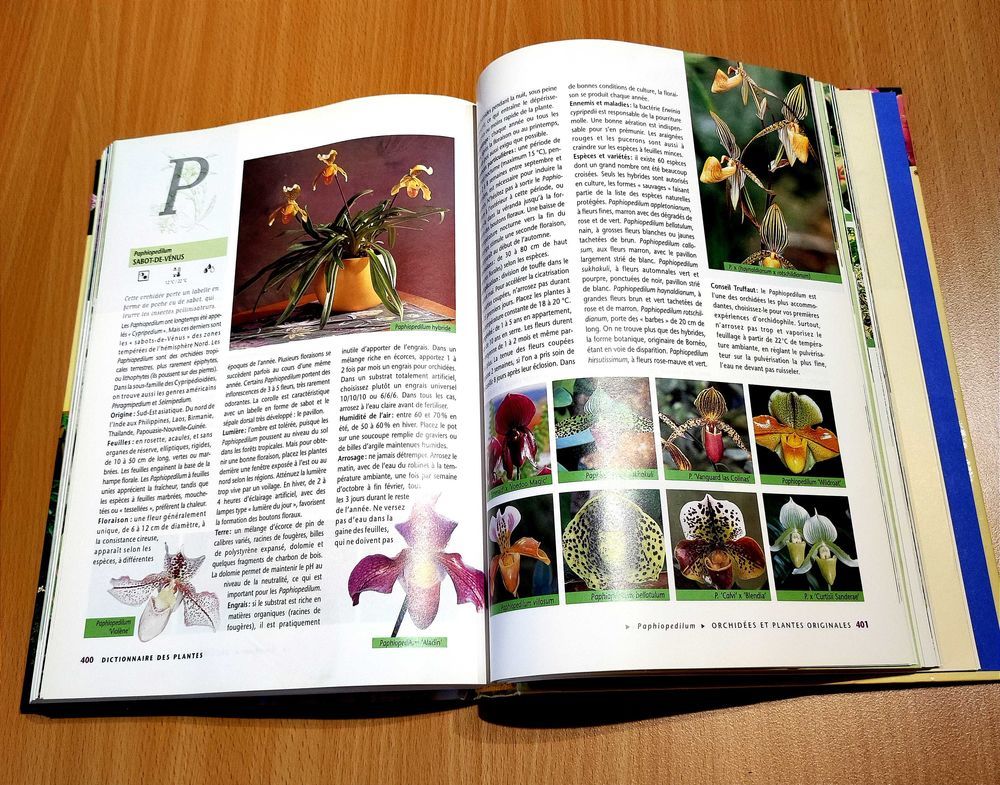 Revue Le Truffaut €" Plantes d'int&eacute;rieur Livres et BD