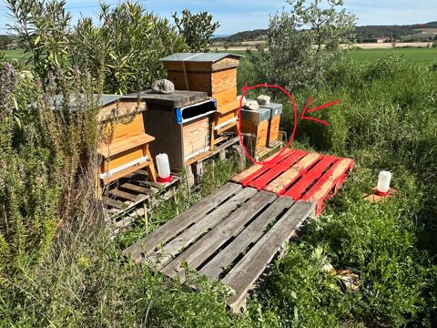 ESSAIM D'ABEILLES NOIRES 140 13770 Venelles