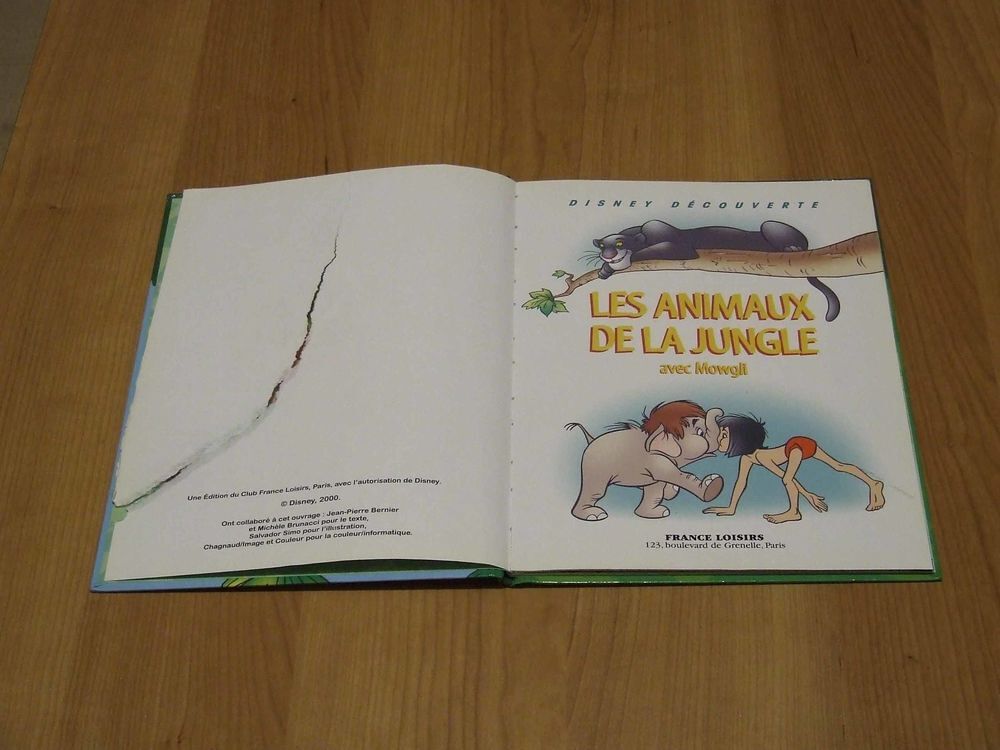 Livre, Les animaux de la jungle avec Mowgli Livres et BD