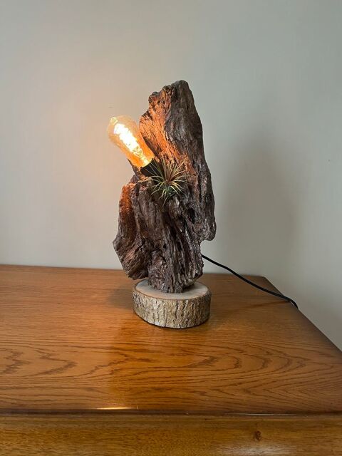 Lampe bois flotter de mer. Avec petite d�coration 75 Orry-la-Ville (60)