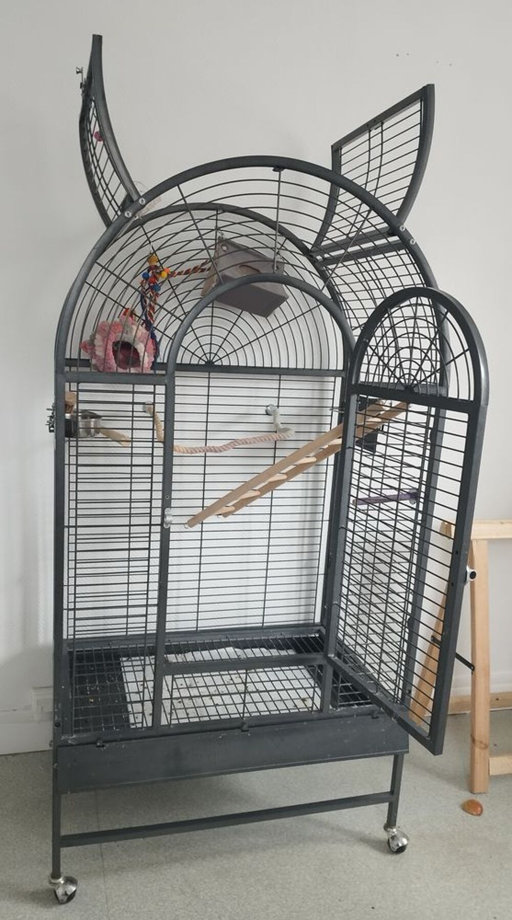   Cage  