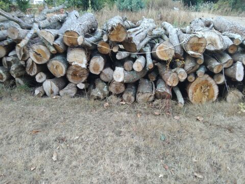 Bois de chauffage Plozévet (29)