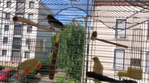 canaris 25 71100 Chalon-sur-sa�ne