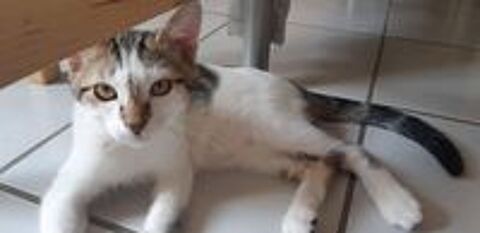   Origami N� le 22 mars 2018 