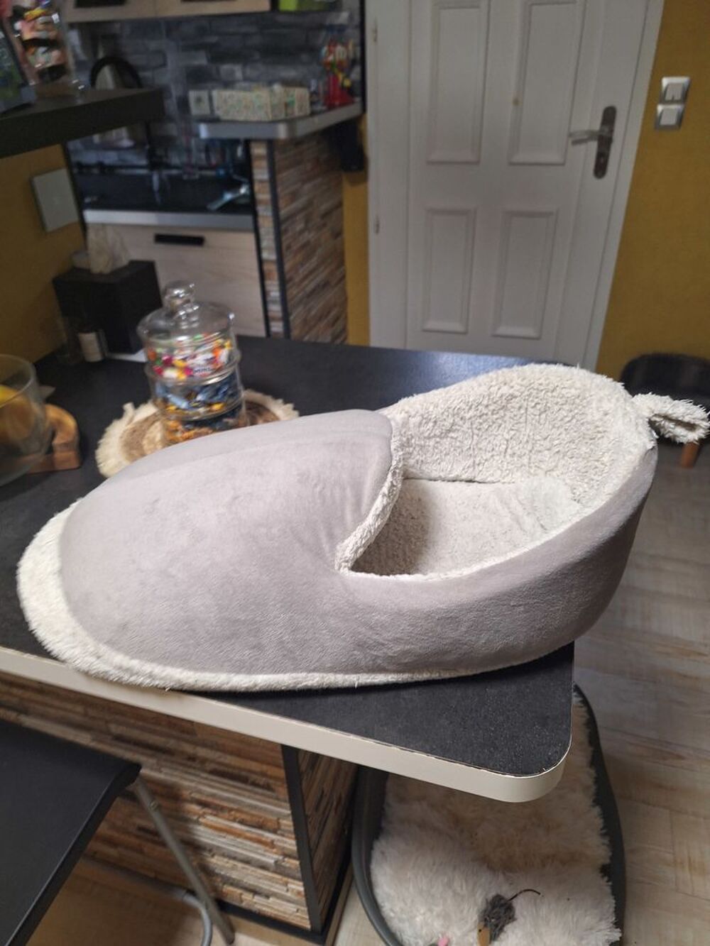   Niche chat ou petit chien 