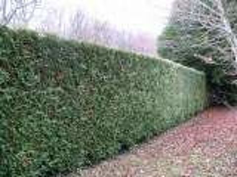 RETRAITE ENTRETIEN ESPACES VERT  0 68440 Dietwiller