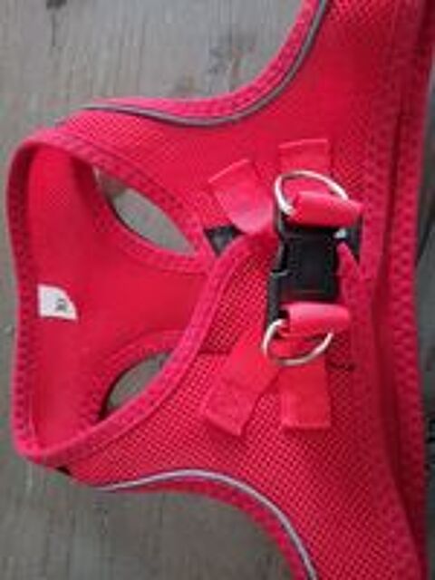   Brassière pour chien 