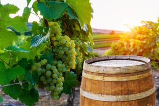  Proprit/chteau  vendre 6 pices 