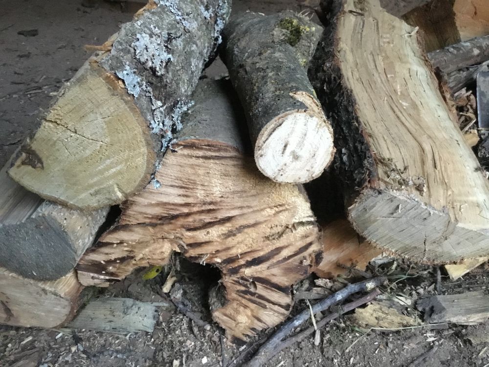 Bois de chauffage Bricolage