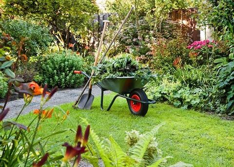 Entretien de jardin 20 Varades (44)