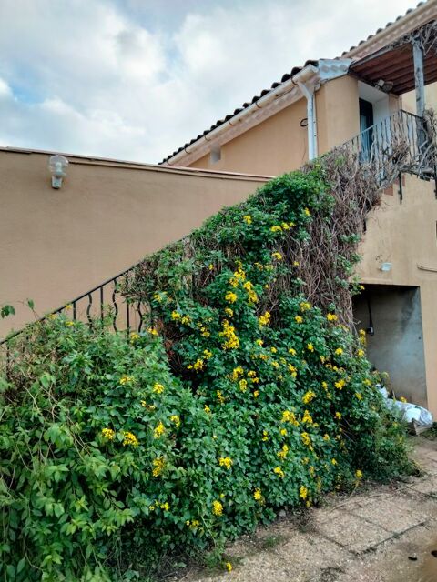  Appartement � louer 2 pi�ces 45 m�