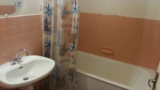  Appartement � louer 2 pi�ces 42 m�