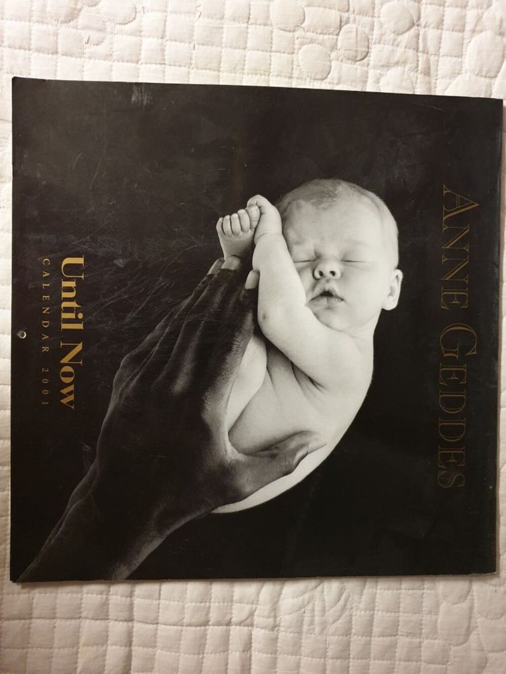 Calendrier ANNE GEDDES b&eacute;b&eacute;s poupons photos artistiques 