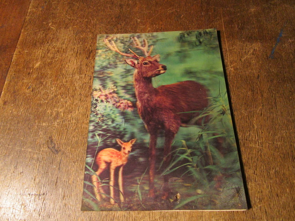 VIEILLE CARTE POSTALE EN RELIEF 3D"FAON+CERF" 
