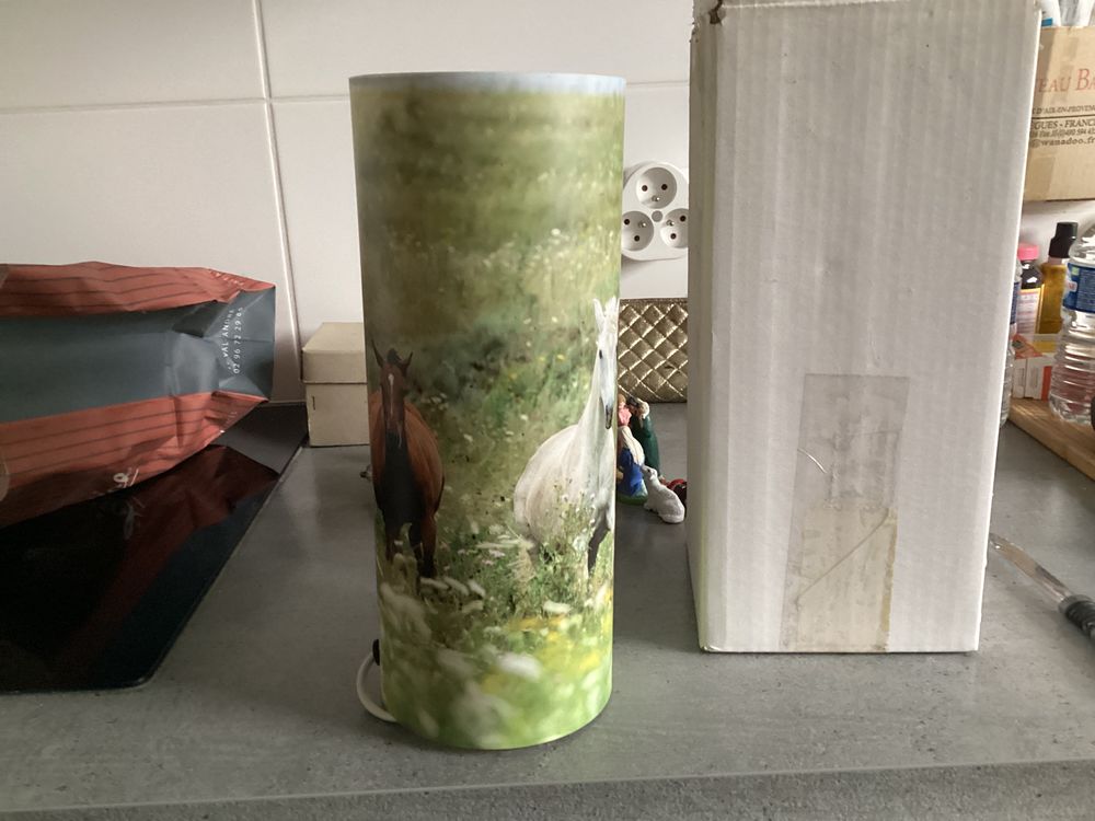 LAMPE DE CHEVET chevaux ,rare et totalement neuve Décoration