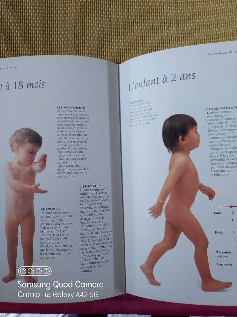 livre. Vous et votre enfant. Livres et BD