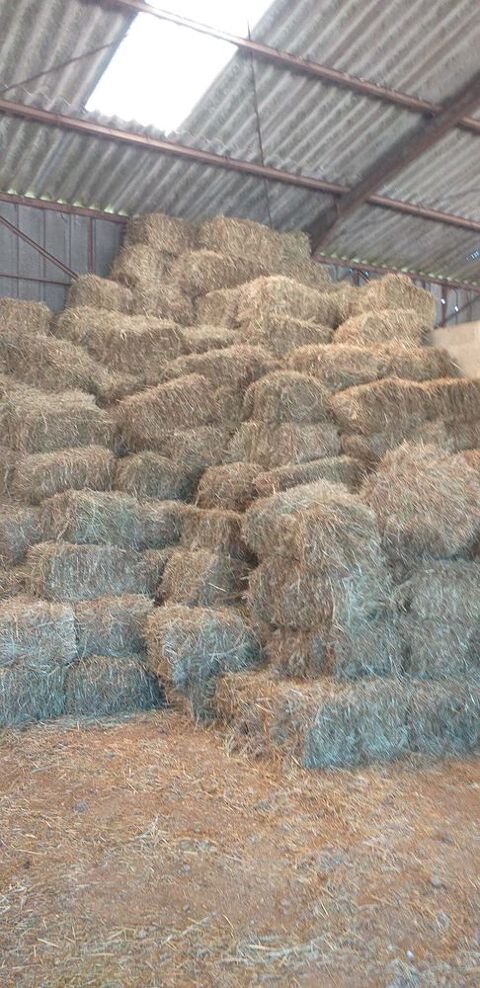 Petites bottes de foin 3 72400 Saint-aubin-des-coudrais