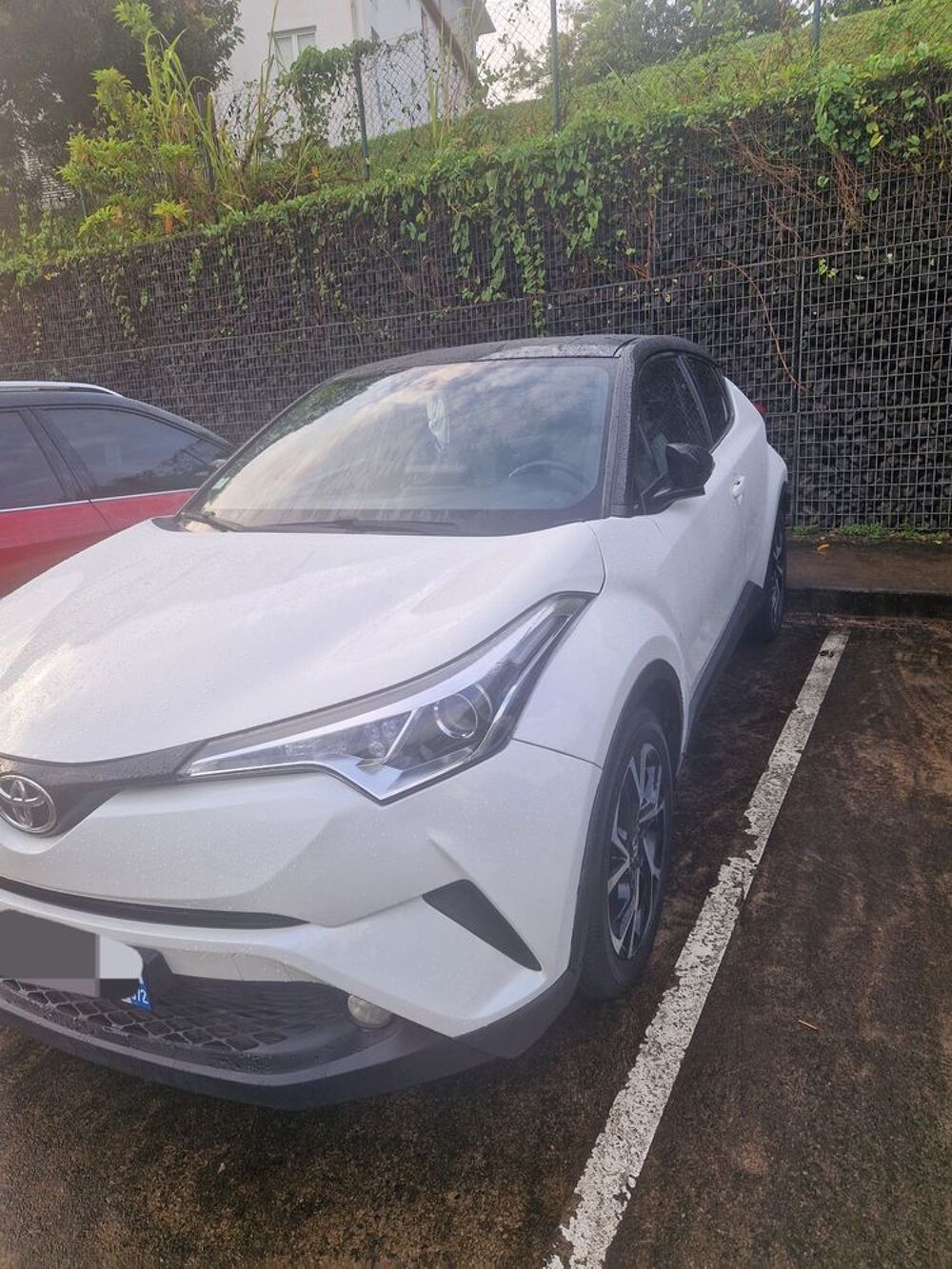 C-HR 116ch Turbo 2WD Dynamic 2019 occasion 97212 Saint-Joseph