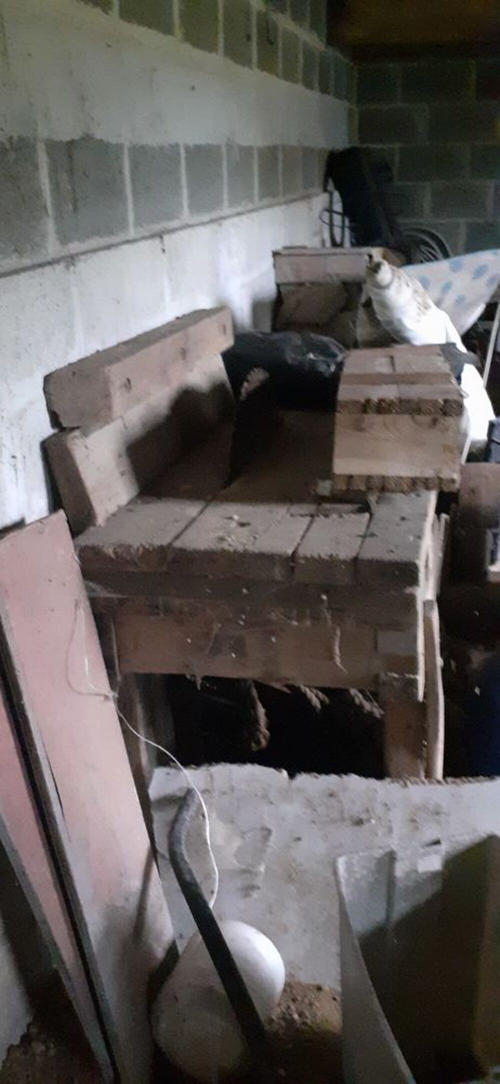 banc scie Bricolage