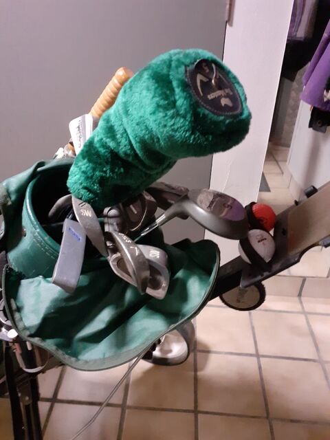 Chariot de golf 85 La Bourboule (63)