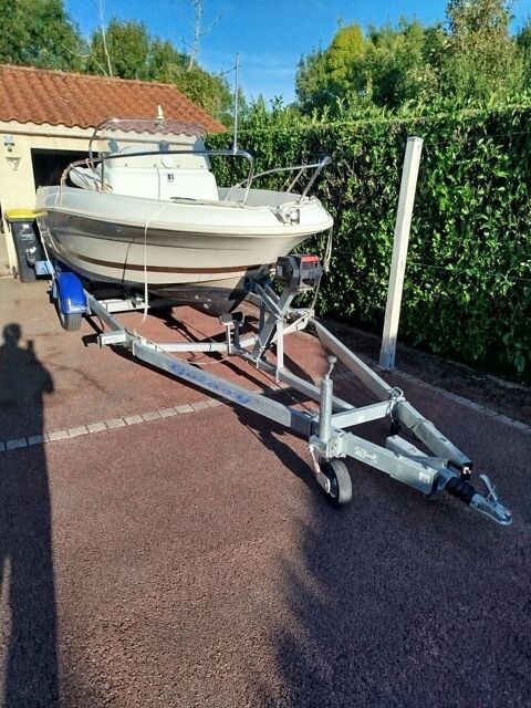 Bateaux &agrave; moteur P&ecirc;che-promenade 2010 occasion L'Orbrie 85200