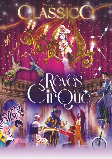 Plusieurs places pour   Rves de Cirque    Toulouse 1 Toulouse (31)