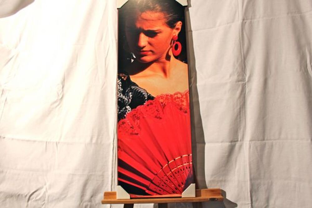  " FLAMENCO " Décoration