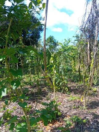  Terrain � vendre 741400 m�