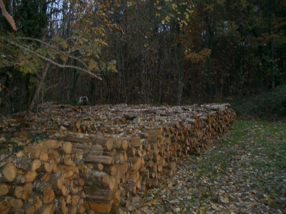 ballots de bois Jardin