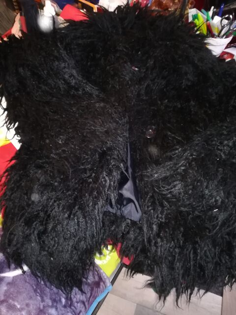 Veste a long poils 15 Pantin (93)