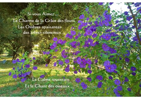   Petite maison de charme au calme 
Maison - 2/3 pi�ce(s) - 48 m�