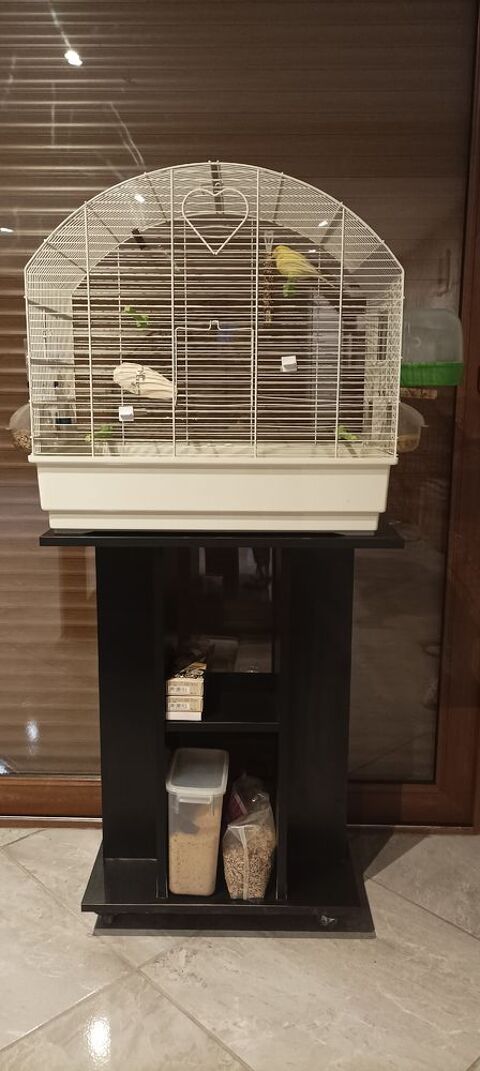 canarie + meuble 50 62138 Billy-berclau