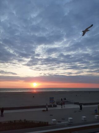 Location  Appartement 