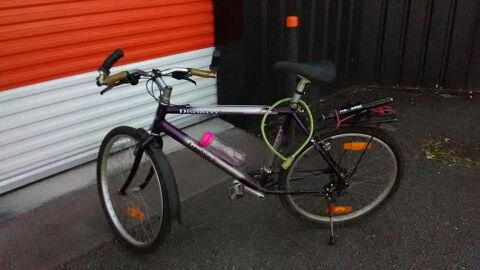 Velo sales giant vannes
