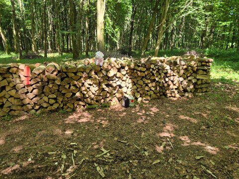Bois de chauffage 65 Herlin-le-Sec (62)