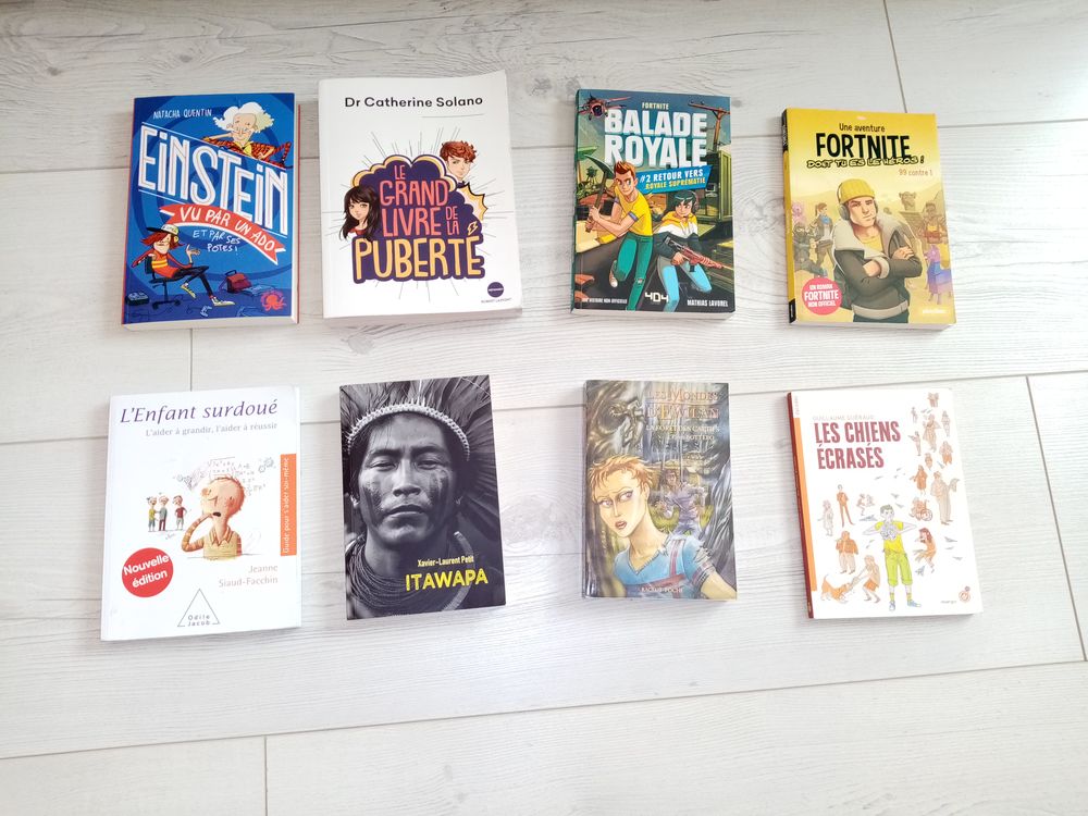 livre divers EINSTEIN fornite balade royale Livres et BD