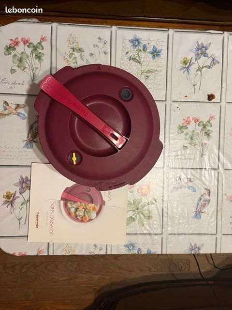 cocotte tupperware 70 Asnans-Beauvoisin (39)