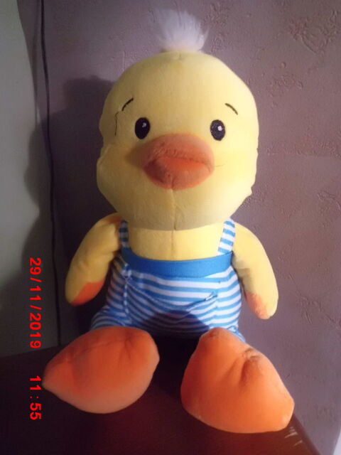 CANARD SONORE FIZZY 13 Oignies (62)