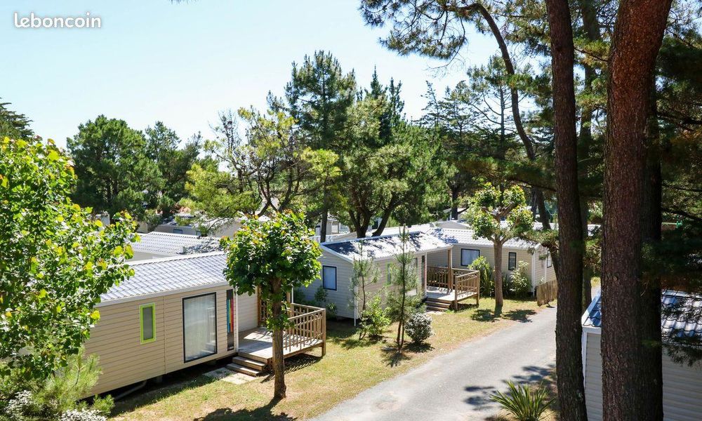  2026 occasion 85270 Saint-Hilaire-de-Riez
