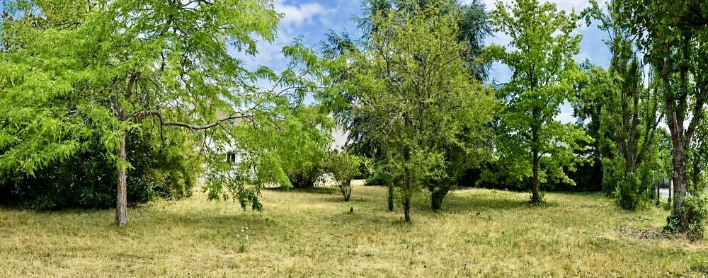 Vente Terrain Terrain de 712 m2 viabilisé, calme, centre ville à pied Châteauneuf-sur-loire