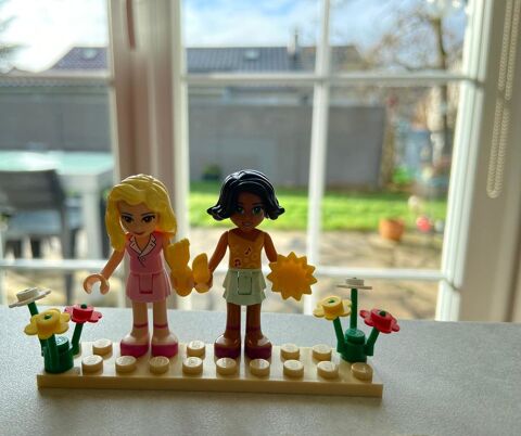 Figurines LEGO 8 Jury (57)