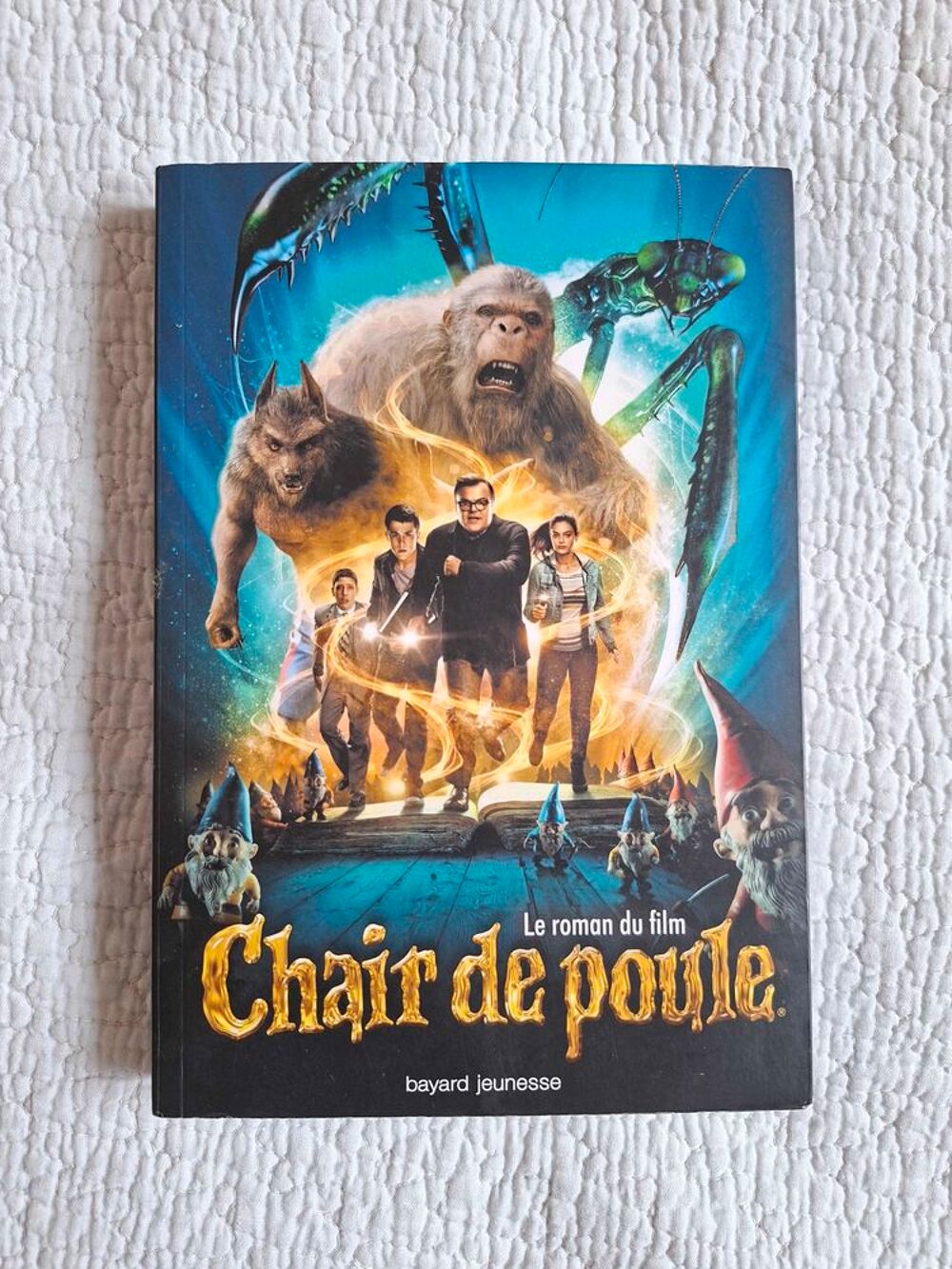 Livre chair de poule le roman du film Livres et BD